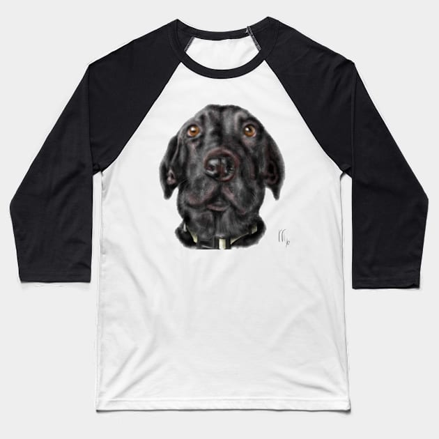 A Very Serious Black Labrador Retriever Baseball T-Shirt by LITDigitalArt